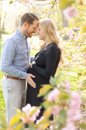 Tower Grove Park St. Louis, MO maternity photography