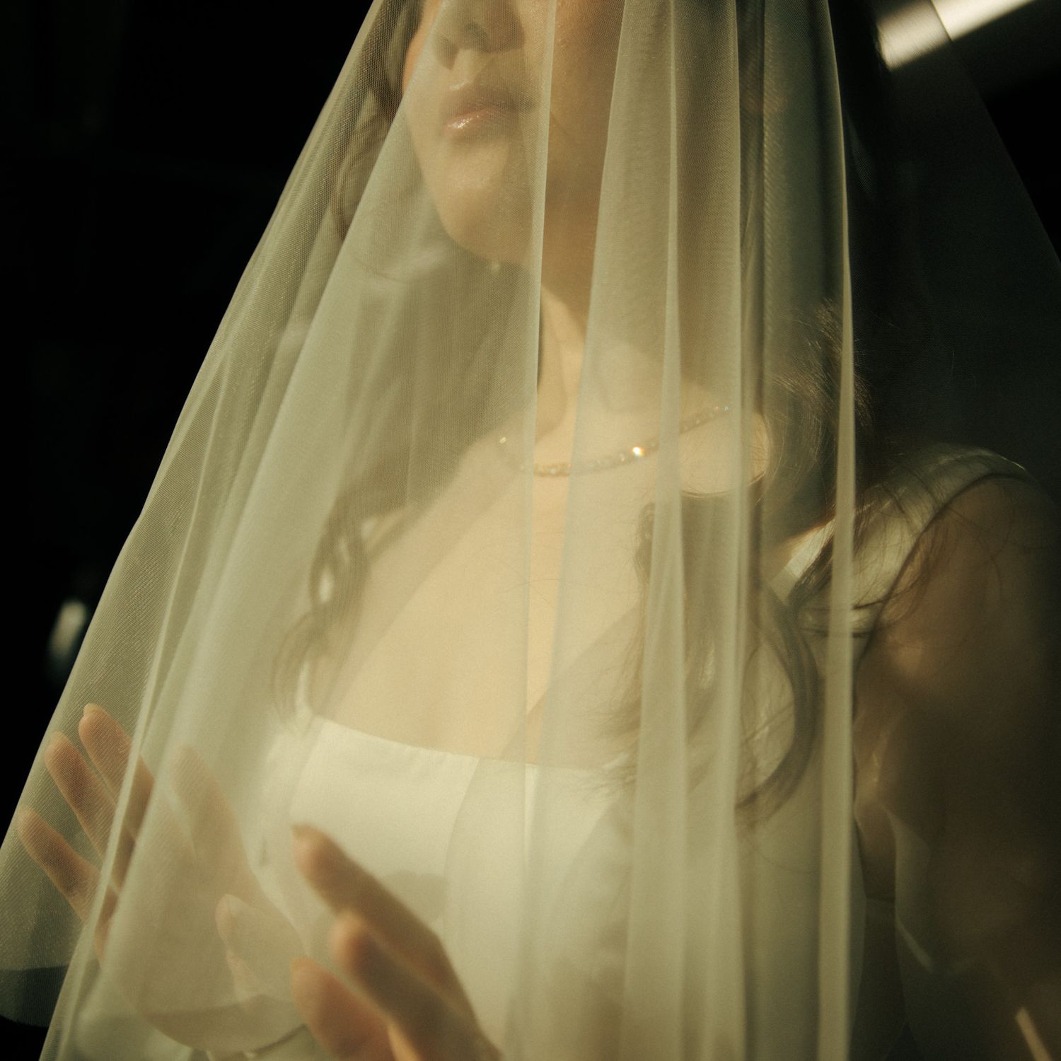 Ethereal bridal portrait through sheer veil with dramatic lighting.