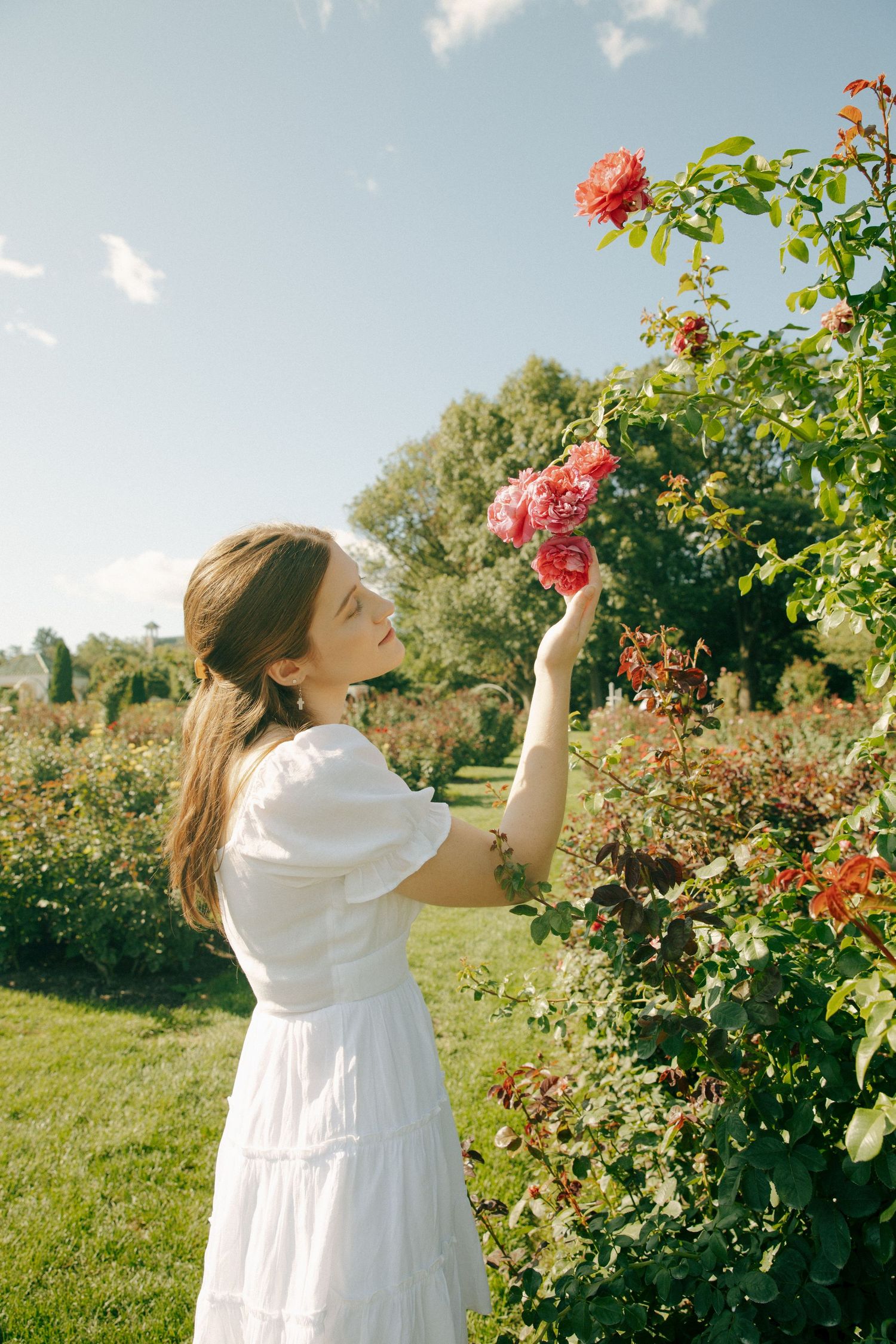Woman in white dress reaches for blooming coral roses in sunny garden.
