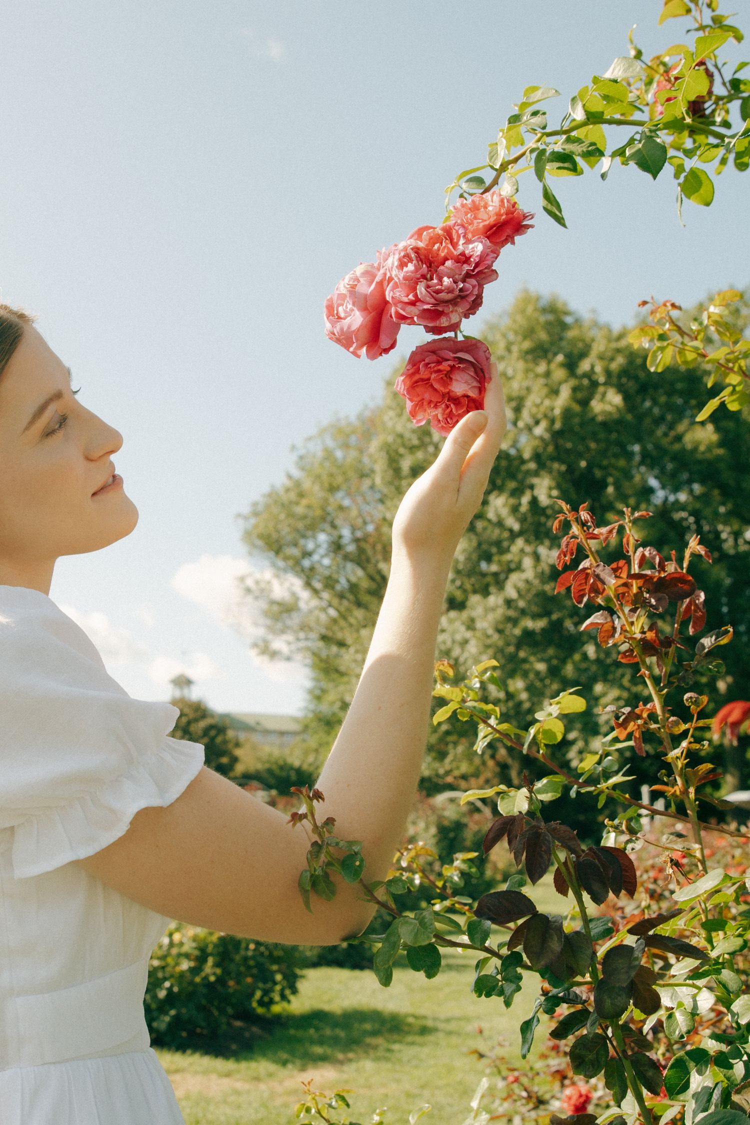 Side profile of woman admiring climbing roses in summer garden setting.