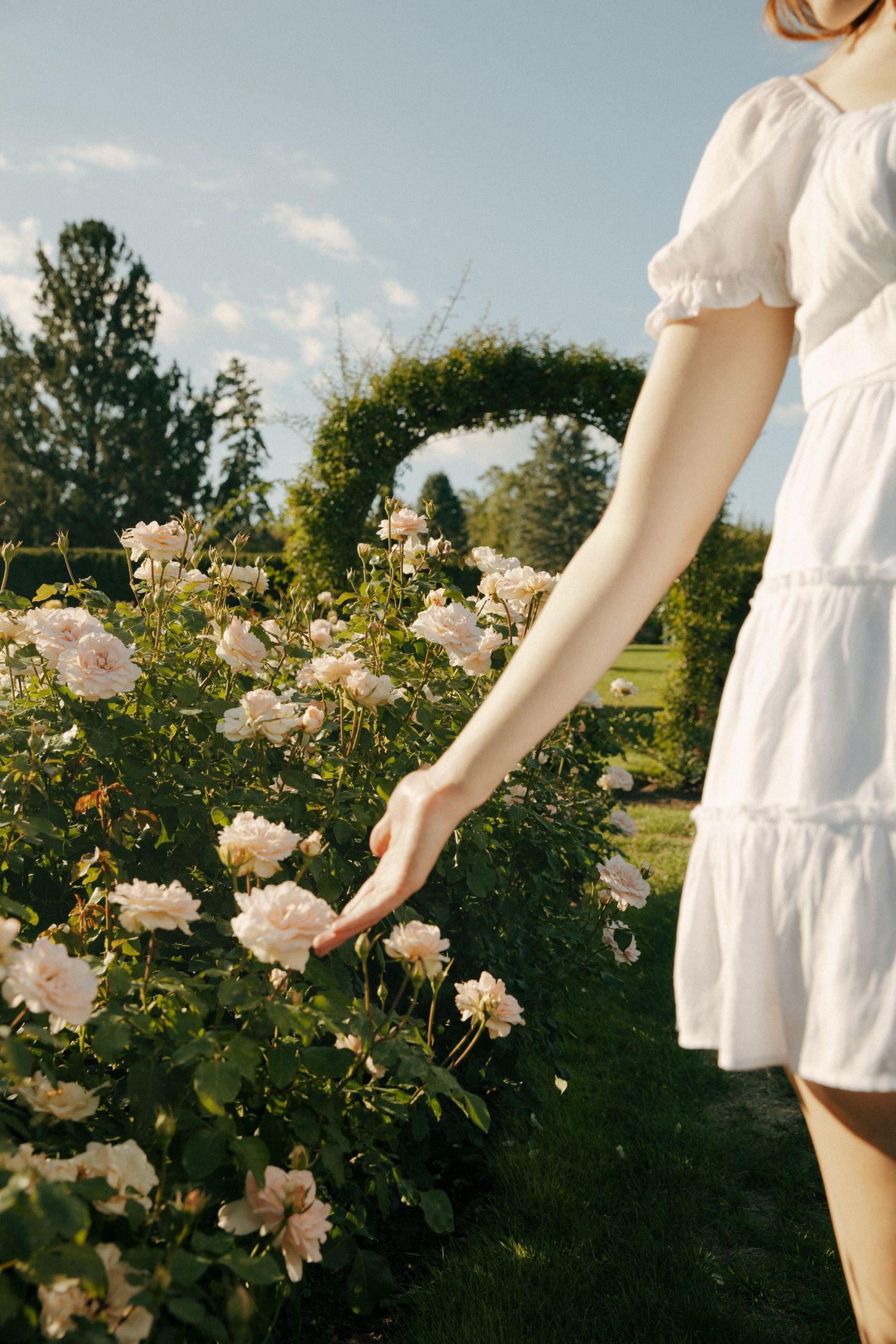 Person in white dress gently touching roses in sunlit garden with green archway.