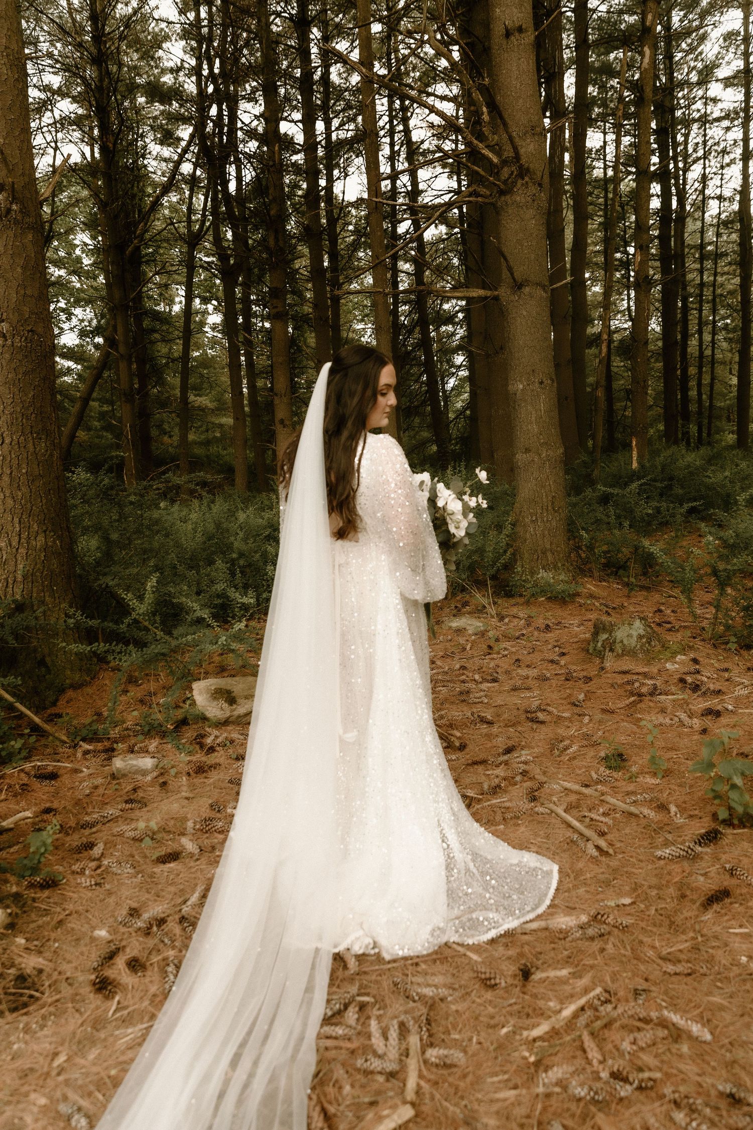 Bride in lace gown with flowing long veil walking through a pine forest.