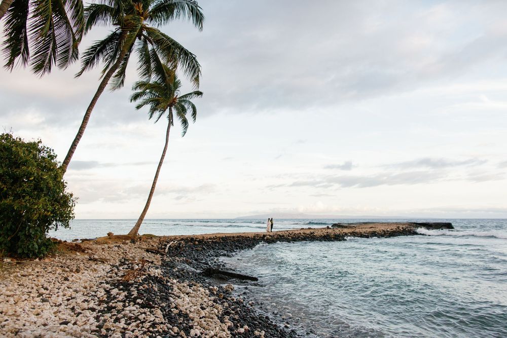 Tropical shoreline with leaning palm trees, rocky coast, and a person standing on a pier overlooking calm ocean waters.