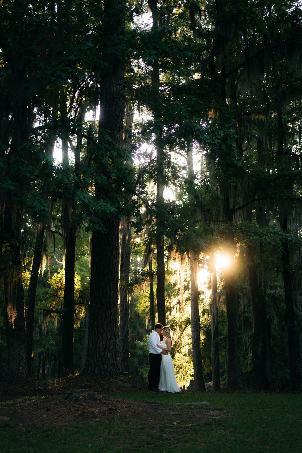 Couple embracing in a sunlit forest during golden hour, surrounded by tall trees with rays of light filtering through.