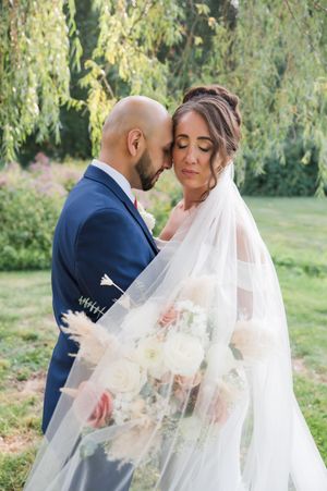 Intimate wedding couple portraits under weeping willow trees in soft sunlight. Aqua Turf