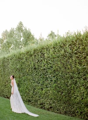 Bride in flowing gown with cathedral veil standing beside tall green hedge garden wall.