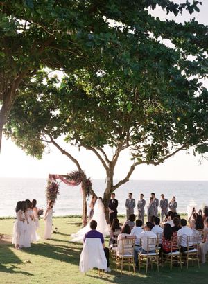 Outdoor beach wedding ceremony under a large tree with ocean views and gold chairs.