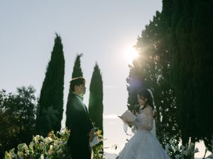 Bride and groom exchanging vows outdoors with sunlight streaming through tall cypress trees.