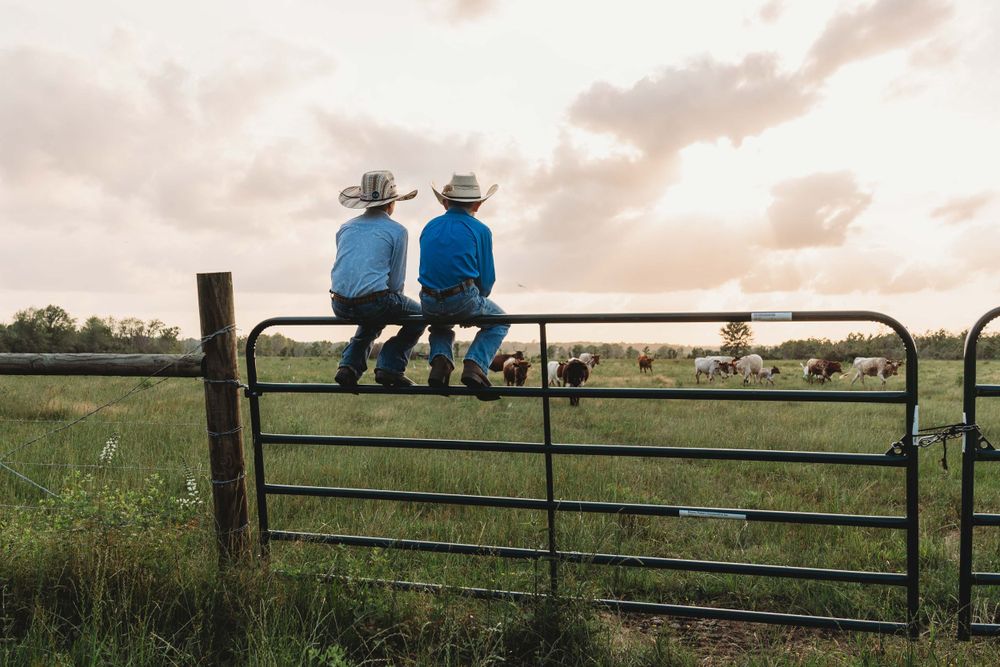 Two people in blue shirts sitting on metal farm gate at sunset.