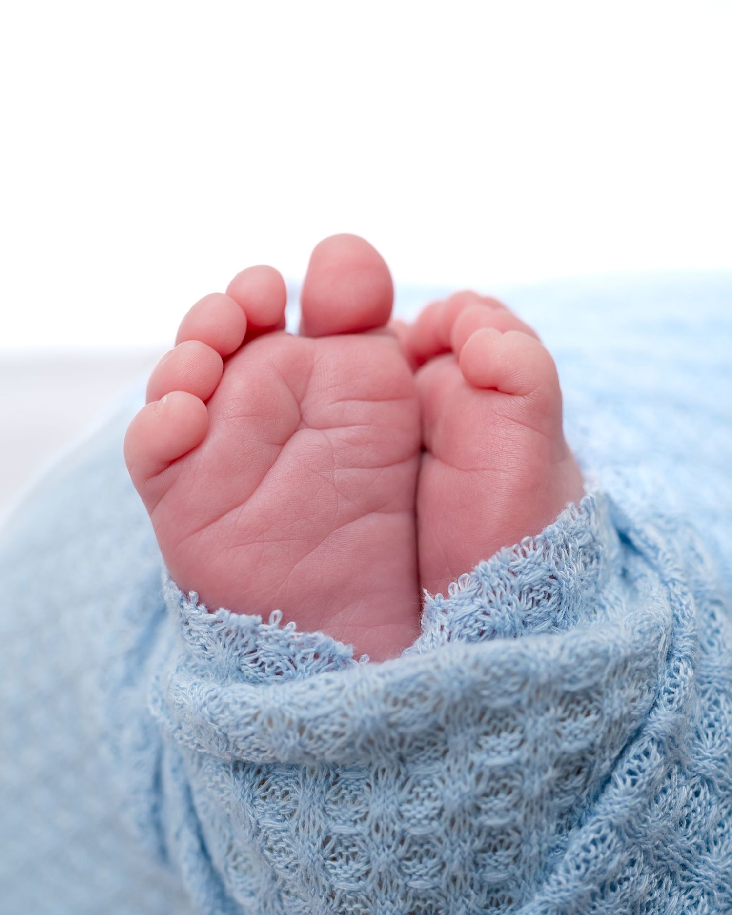 Close-up of adorable newborn baby feet wrapped in a soft blue knitted blanket.