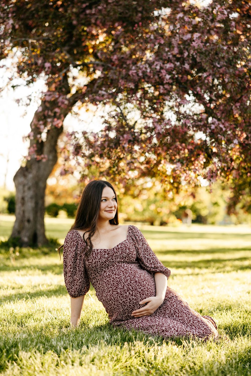 Pregnant woman in floral dress sitting on grass under blooming tree, cradling baby bump in sunny park.