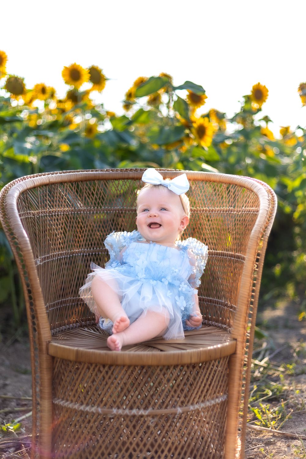 Baby in blue dress and bow sits in wicker chair with sunflower field backdrop.