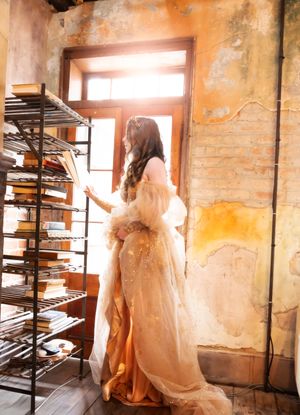 A en pointe ballerina in a flowing golden, star adorned gown explores a book in a old brick building with sunlit windows.