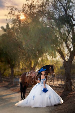 A white ballgown dress contrasts beautifully with a dark horse in a dreamy outdoor setting at sunset.