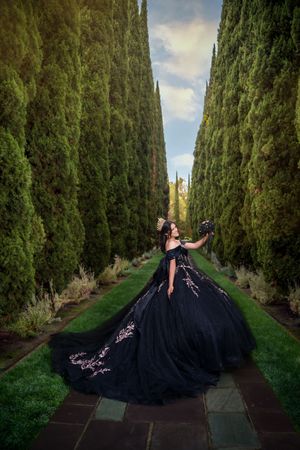 A dramatic portrait series of a person in a flowing black ball gown posing elegantly along a cypress tree-lined path.