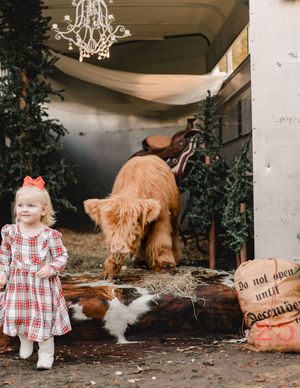 A child in a red plaid dress plays near a large golden retriever dog in a series of outdoor photos.