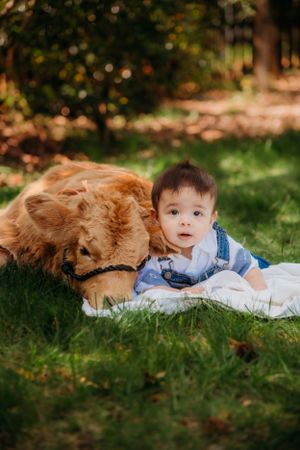 A baby in overalls lying on a blanket next to a golden retriever dog in a grassy garden.