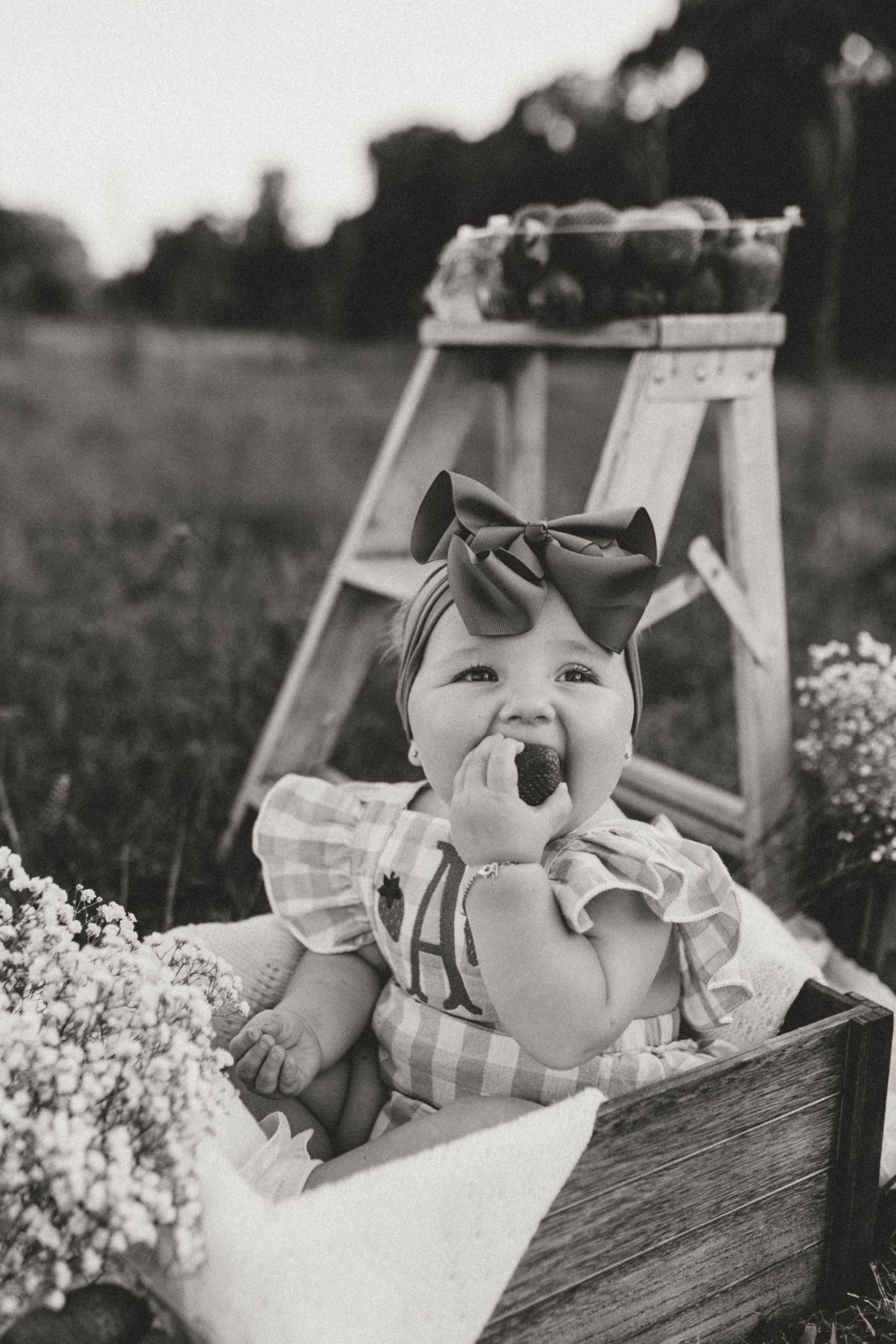 Vintage black and white photo of baby in wooden crate with flowers.