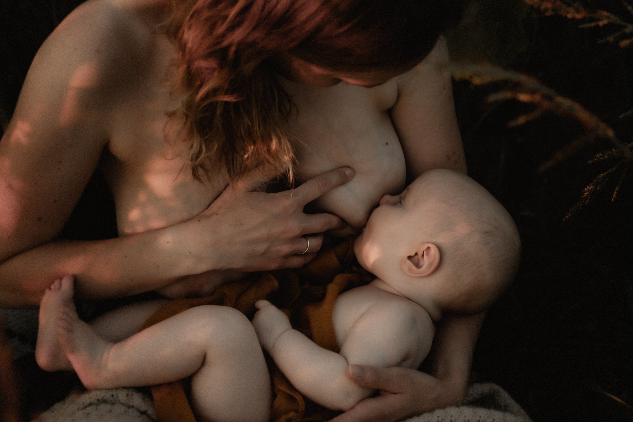 Ein inniger Moment in warmem Licht: Eine Mutter stillt ihr Baby in einer vertrauten, liebevollen Atmosphäre. Newborn Shooting Wiesbaden