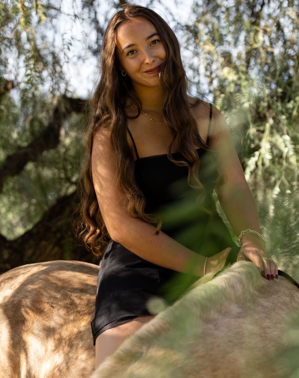 Young woman with long brown hair in black dress sitting on a horse under a tree.