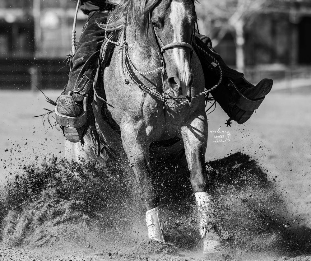 Black and white close-up of a horse sliding to a stop in the dirt during a reining competition.
