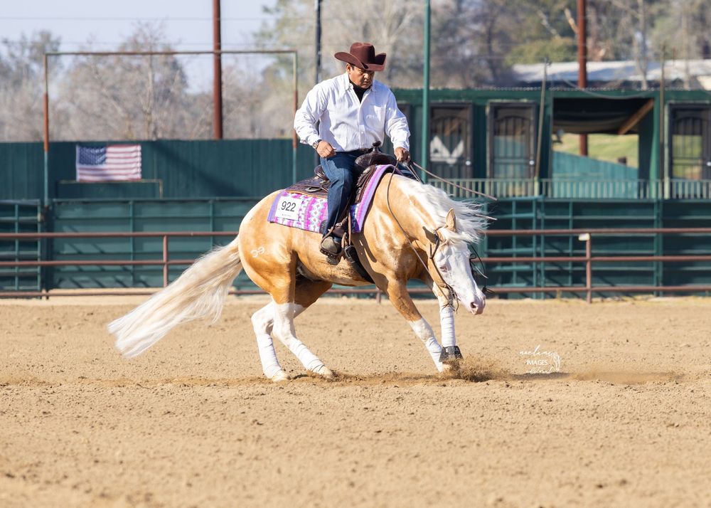 A rider on a palomino horse performs a reining pattern in an outdoor arena with an American flag.