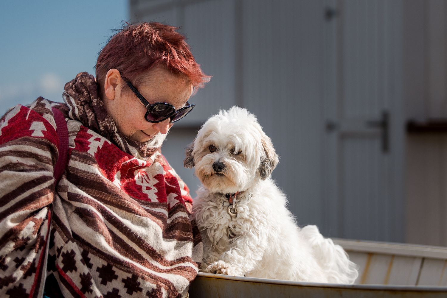 Person on couch holding small white fluffy dog while looking at smartphone in living room setting.