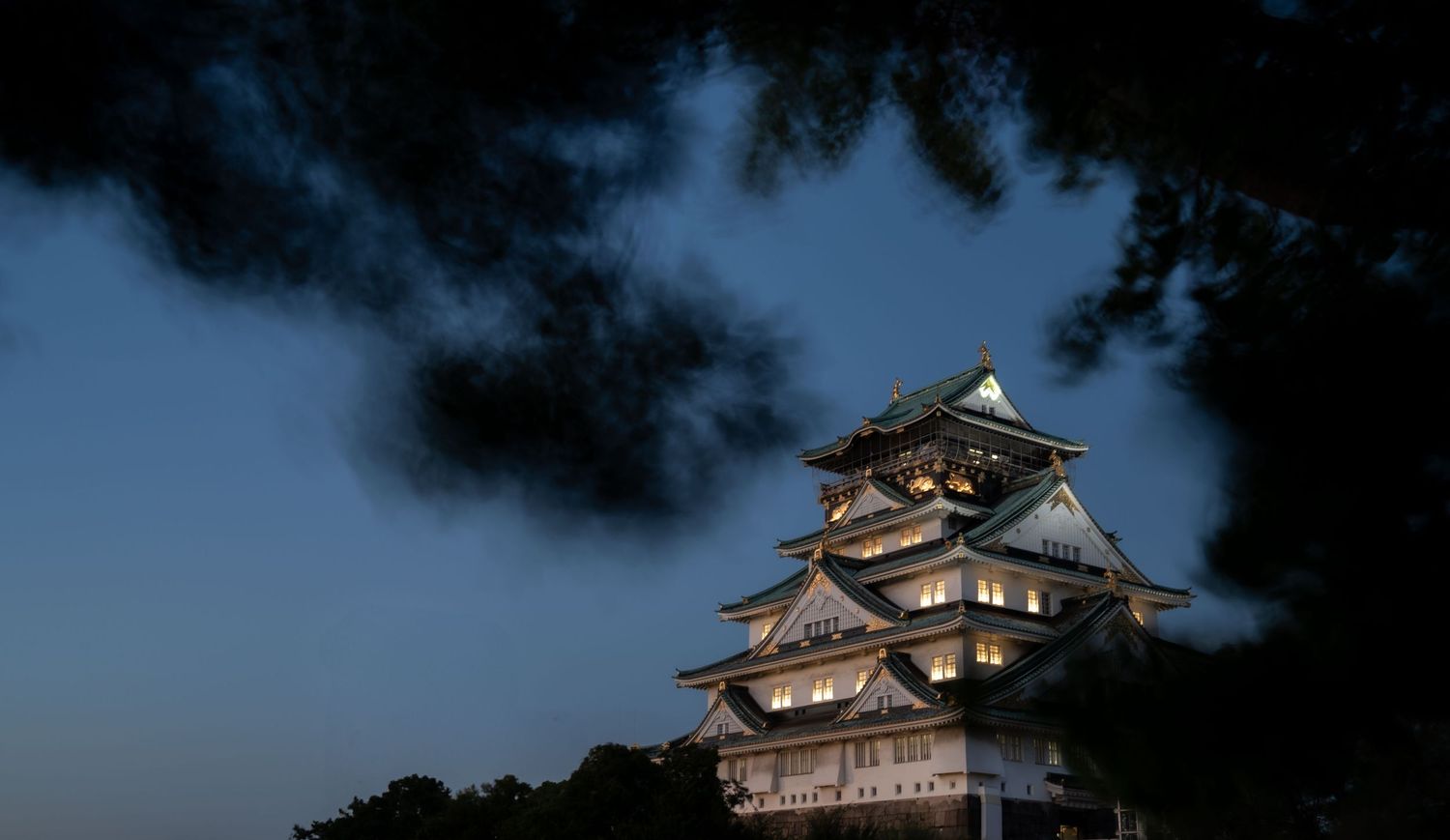 Japanese castle emerging from dark pine trees at dusk.