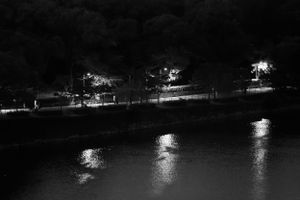Illuminated street lights reflect on calm water at night creating a serene urban scene.