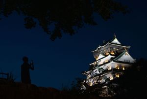 Traditional Japanese castle buildings illuminated against dark night sky.