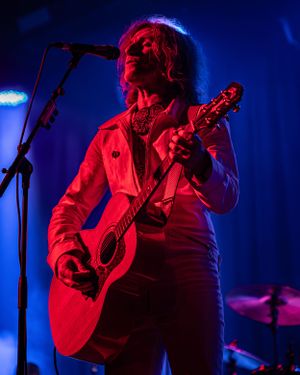 Tim Rodgers for You Am I at Festival Hall - Gig Photography