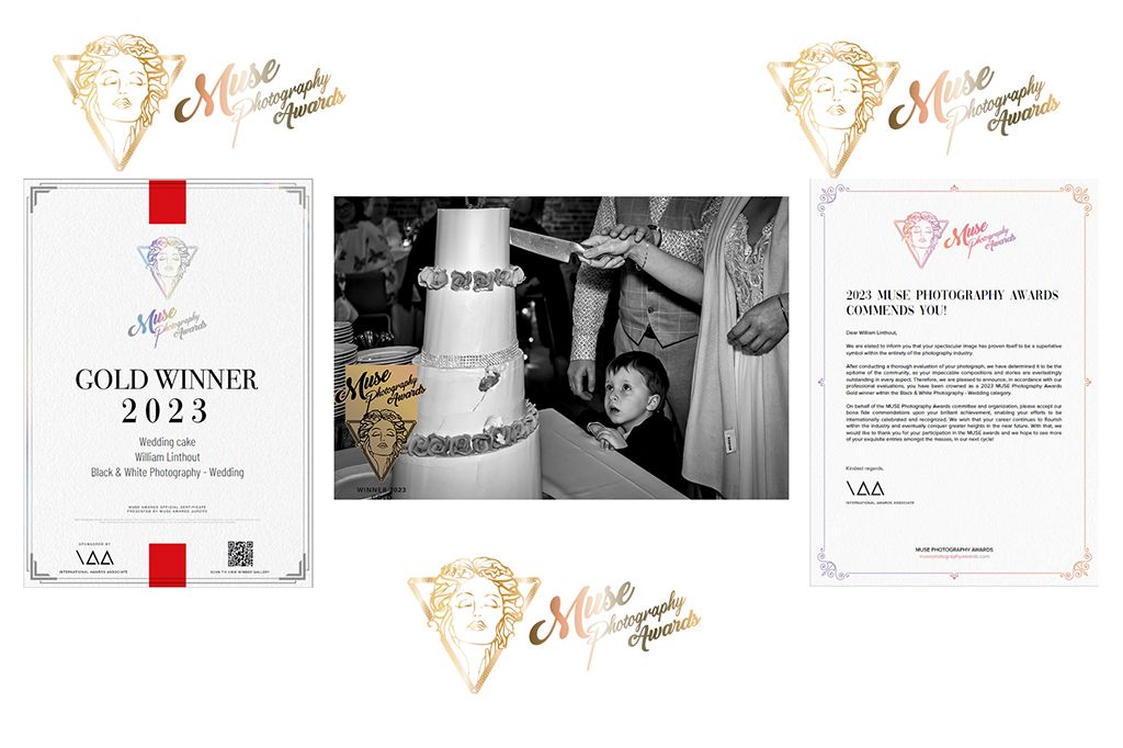 Gold award winner certificate and wedding photography credentials displayed on white background.