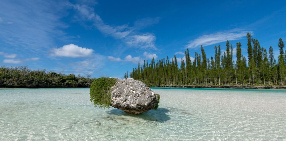 Crystal clear turquoise lagoon with a large rock formation surrounded by tall pine trees under blue sky.