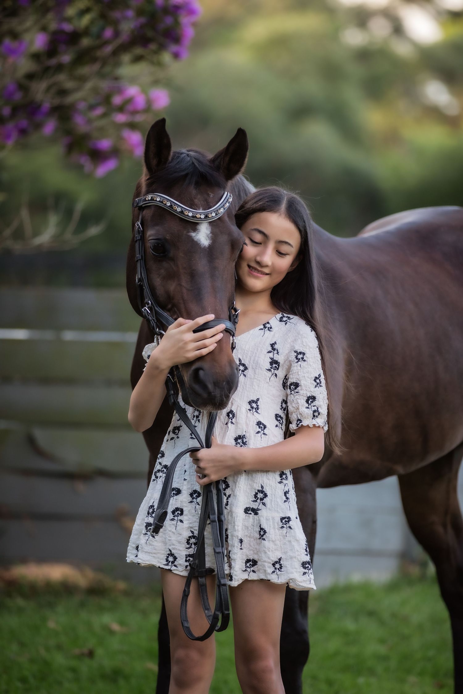 Equestrian photography.