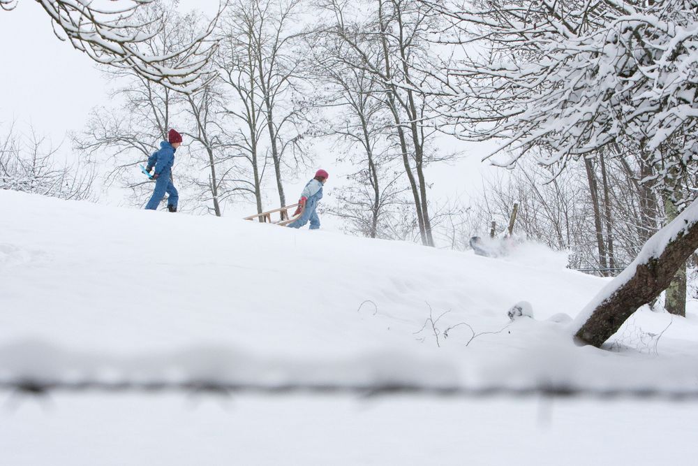 Two figures trek through a snowy winter landscape among bare trees.