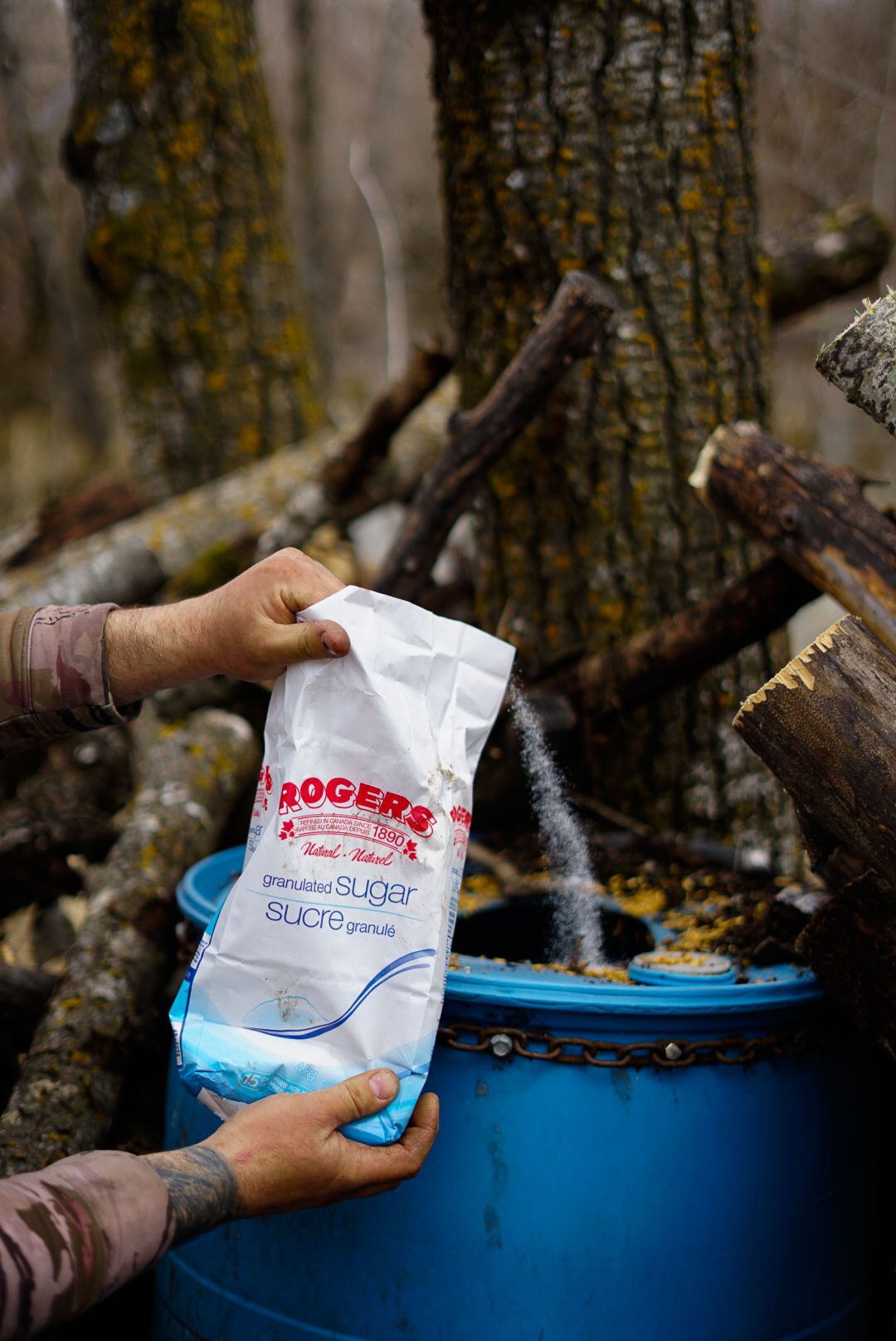 Hands pouring flour from a Rogers brand paper bag into a blue container outdoors.