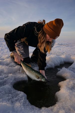 Ice fisher pulling a fish through a hole in frozen lake during winter.