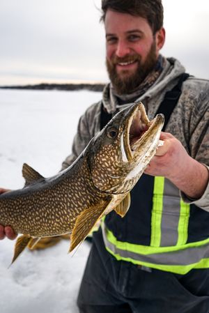 Large lake trout being held up to display after being caught through ice fishing.
