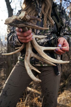 Person holding and examining deer antlers found in the woods during hunting season.