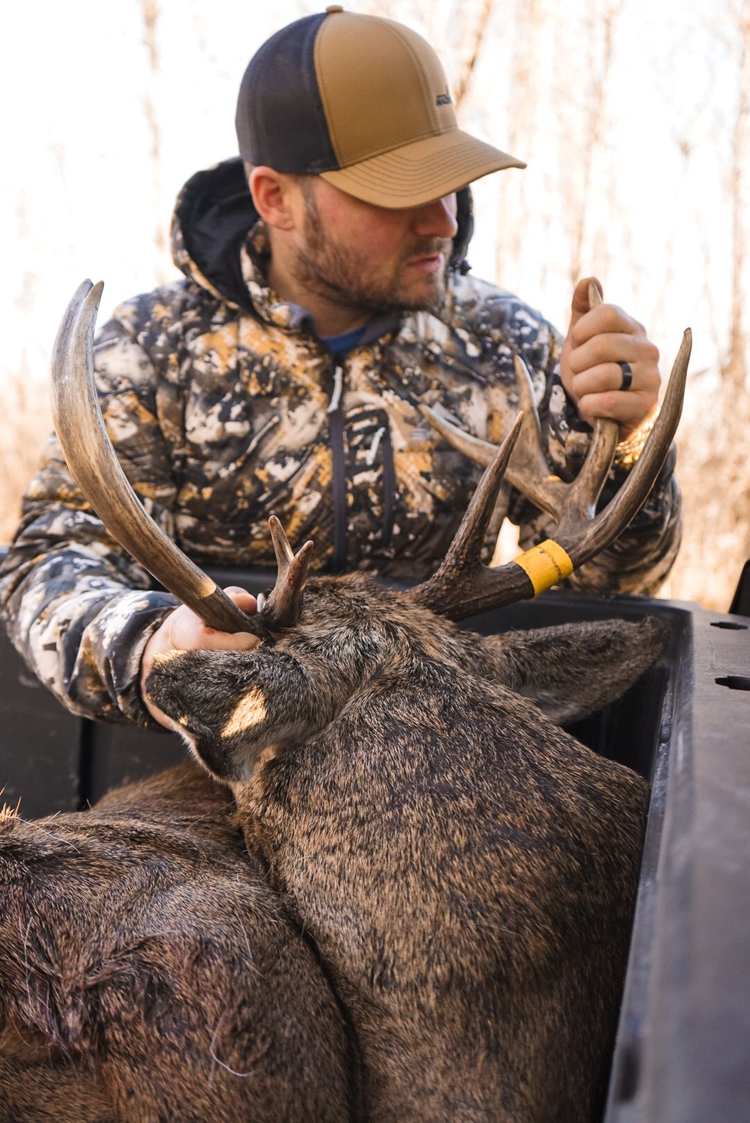 Hunter field dressing a harvested moose in winter camouflage gear.