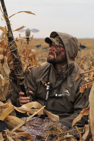 Hunter in cornfield with shotgun looking up at sky during waterfowl season.
