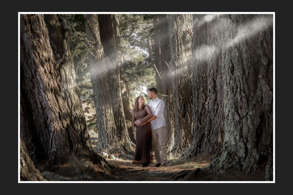Couple embracing in sunlit forest with dramatic light rays filtering through tall trees.