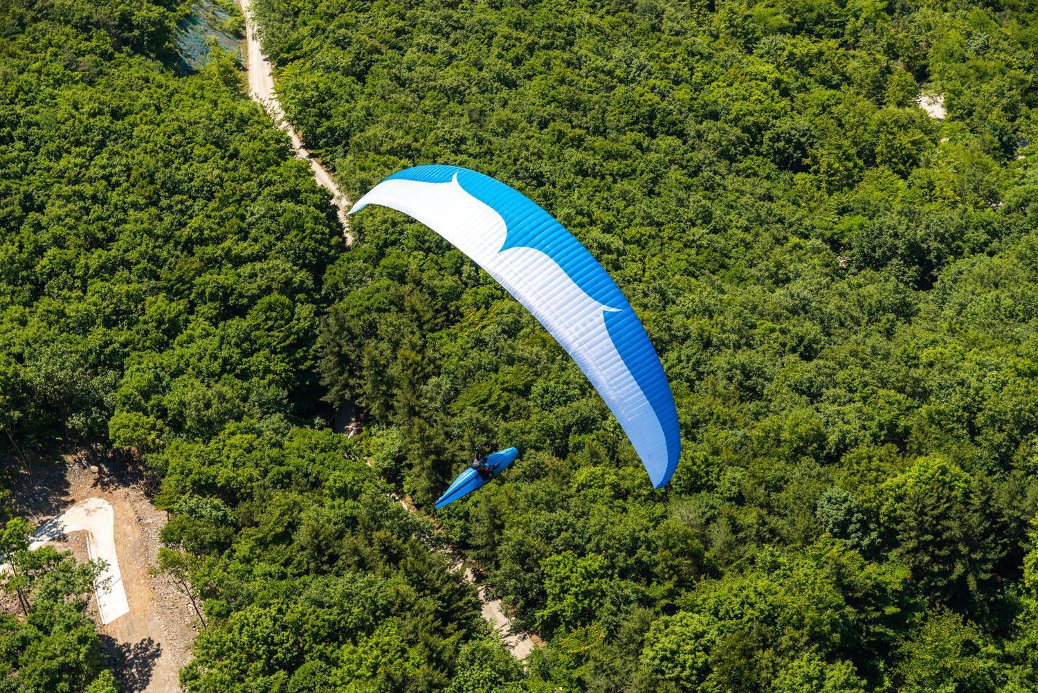 A blue and white paraglider soars over lush green forest terrain viewed from above.