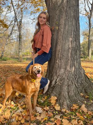 Golden retriever and person enjoying autumn day among fallen leaves by large tree trunk.