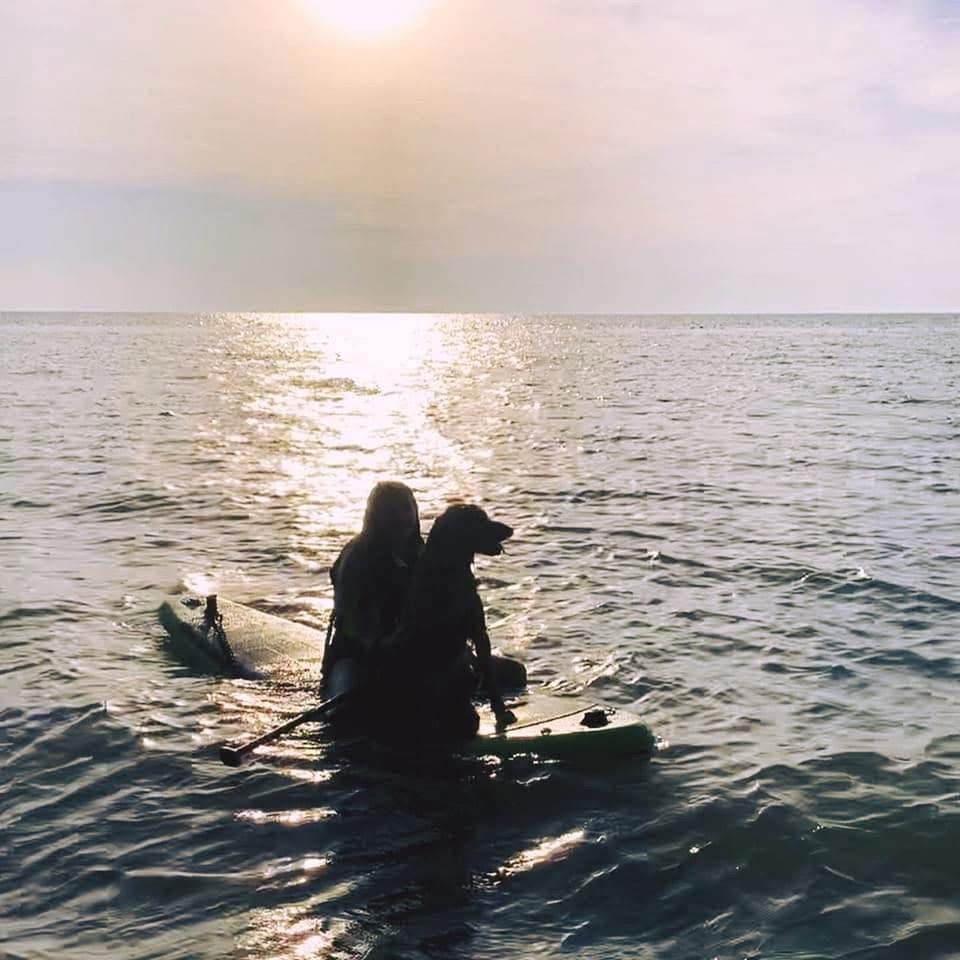 Silhouettes of scuba divers floating in ocean water during sunset.