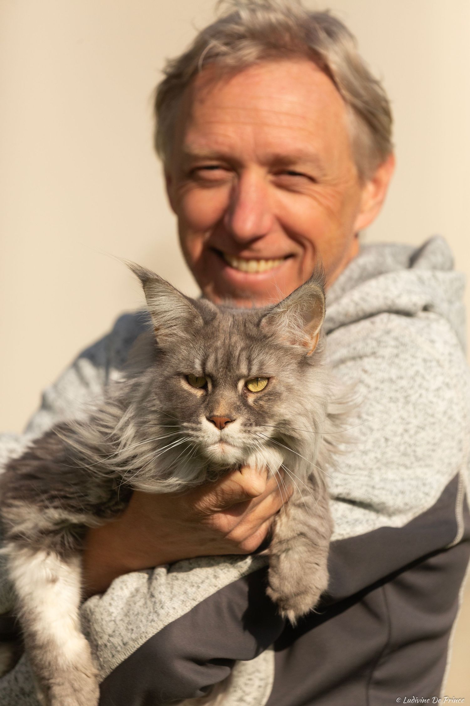 photographie animal de compagnie  synergie
