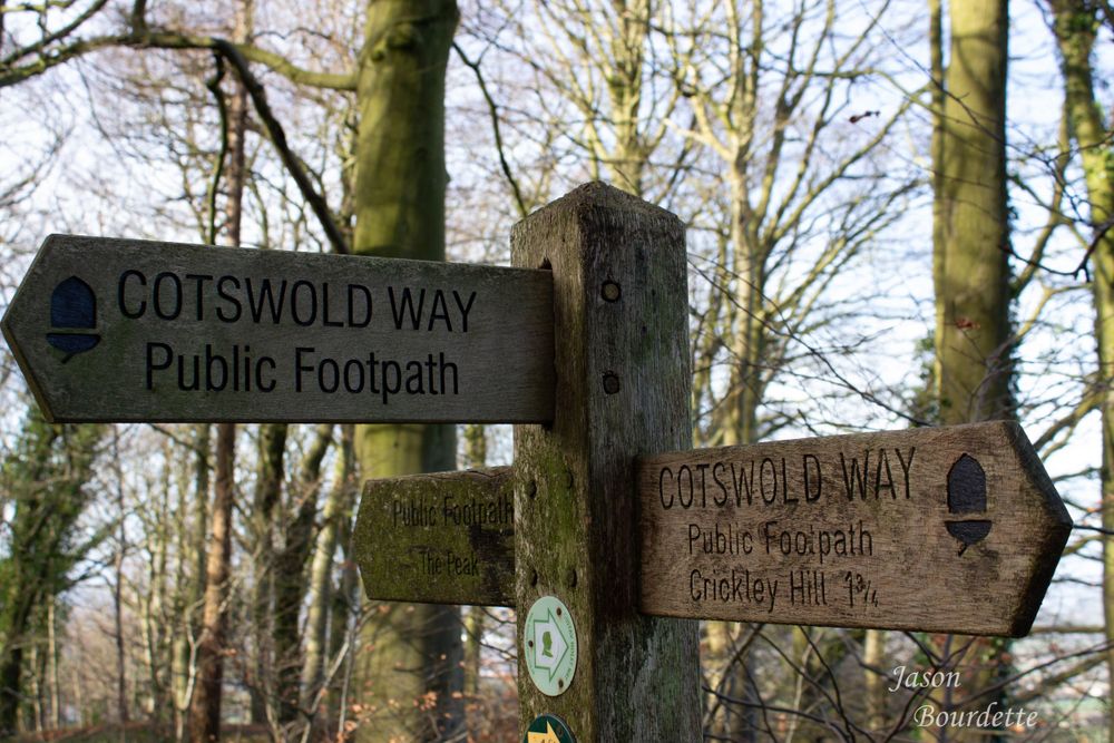 A traditional Cotswold signpost with multiple directional arms, standing against a scenic countryside backdrop of trees and forest.