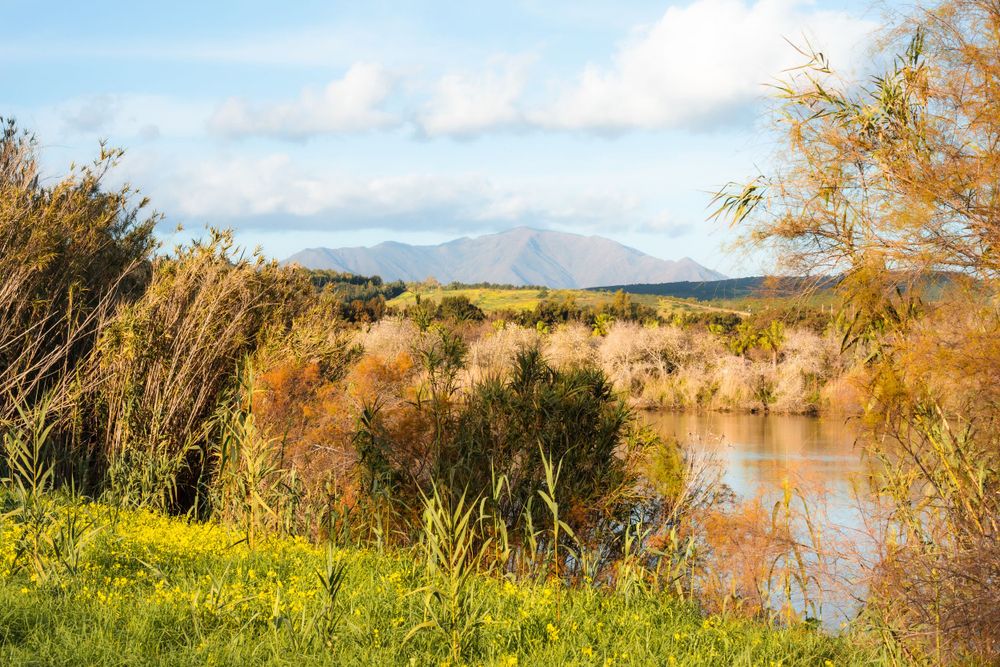River Guadiaro