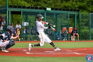 Wide angle view of youth baseball game action on field with players and spectators visible.