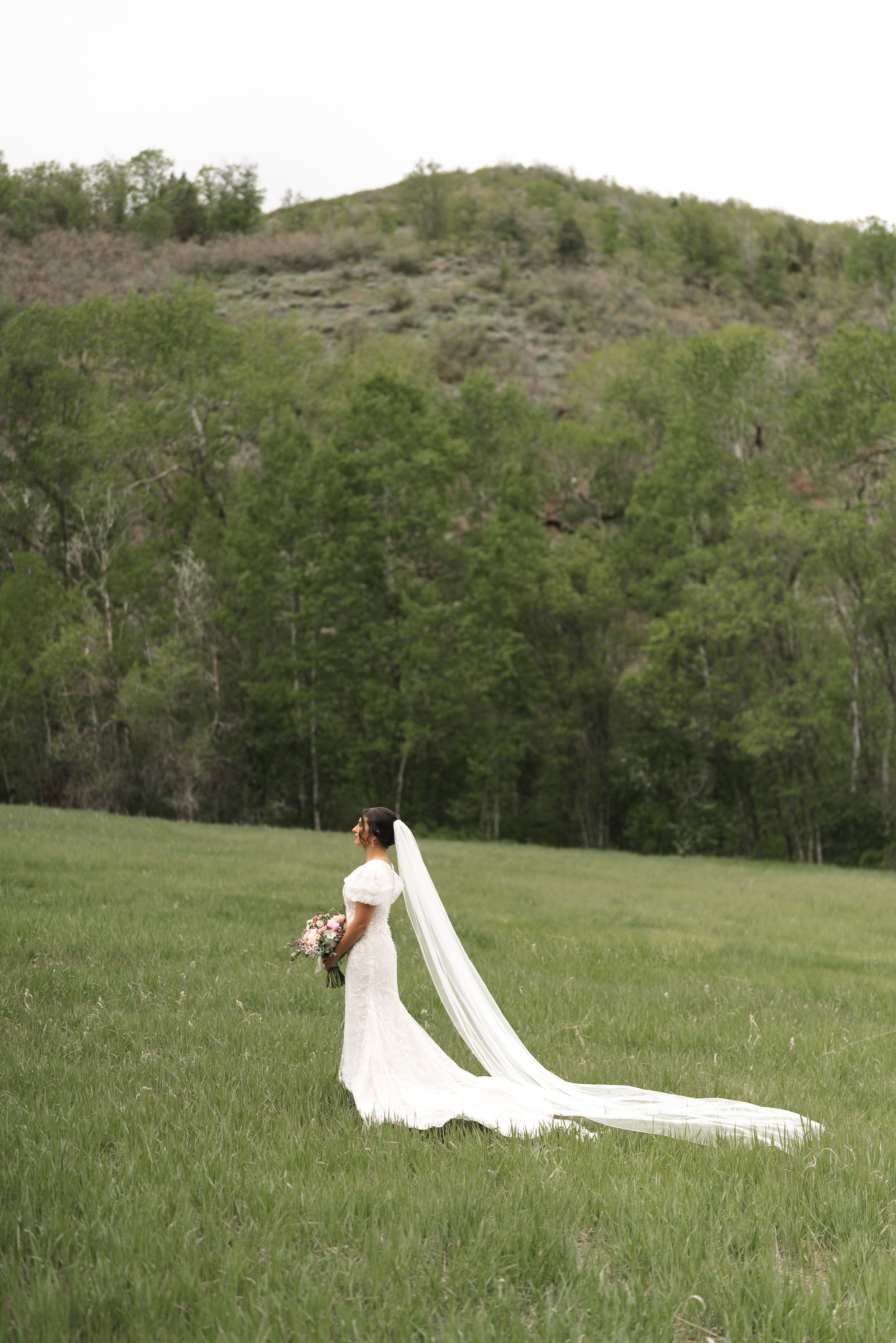 A long flowing white wedding veil trails dramatically across green grass with mountains and trees in the background.